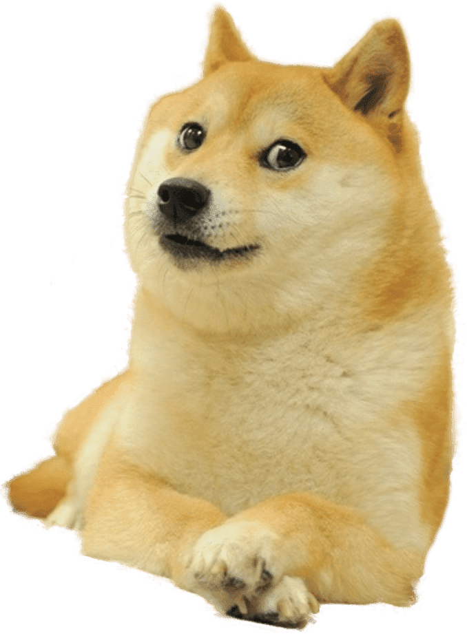 DogeFamous
